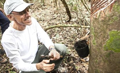 O empresário Jorge Hoelzel Neto colhendo o látex da seringueira na Terra do Meio (Pará), na Amazônia.