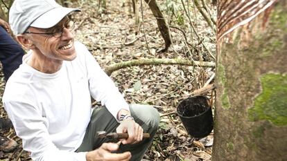 O empresário Jorge Hoelzel Neto colhendo o látex da seringueira na Terra do Meio (Pará), na Amazônia.