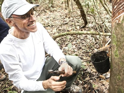 O empresário Jorge Hoelzel Neto colhendo o látex da seringueira na Terra do Meio (Pará), na Amazônia.