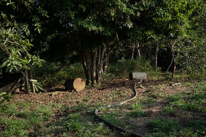 Barriles vacíos en un 'cambullón', un laboratorio para el procesamiento de la base de coca, en Nueva Colombia.