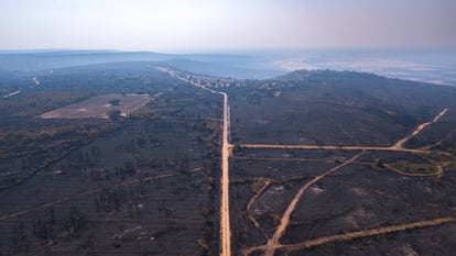 Zonas afectadas por el incendio en Cubo de Benavente, en la provincia de Zamora.