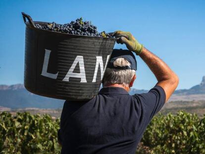 Sogrape es dueño de Bodegas Lan en España.