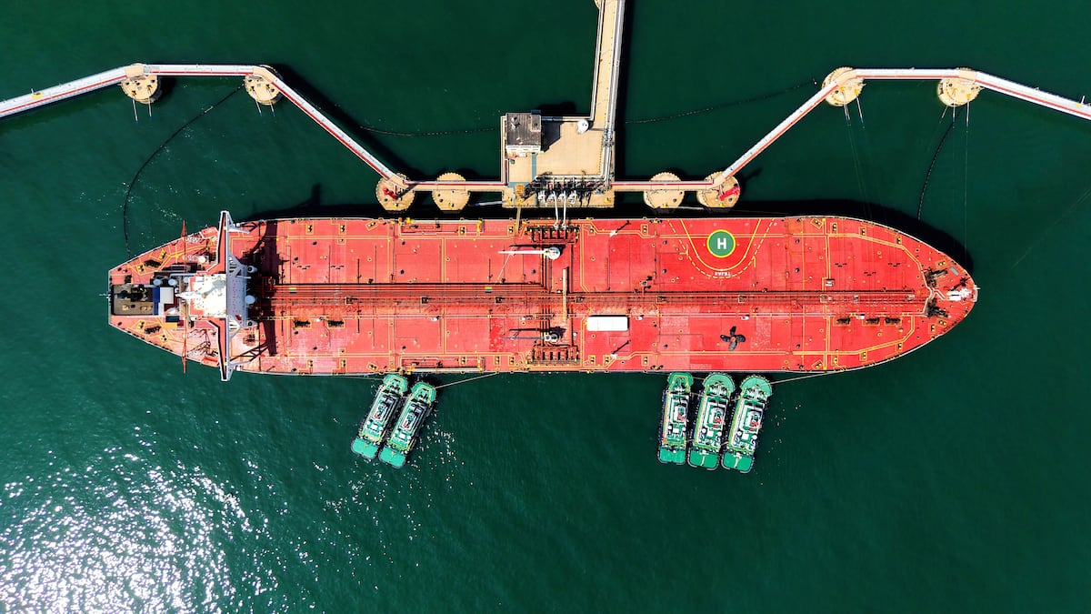 Petróleo: precios de gasolina apenas bajan 0,25% tras IVA