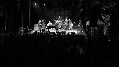 Imagen de un concierto del Festival de Blues en Nou Barris.