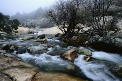 Stretching over 33,960 hectares, the Sierra de Guadarrama between Madrid and Segovia was declared a national park in 2013. Featuring lakes and rivers, pine forests and waterfalls, it is another example of the natural ecosystems of the Mediterranean mountains where wolves, Golden Eagles and black storks thrive.