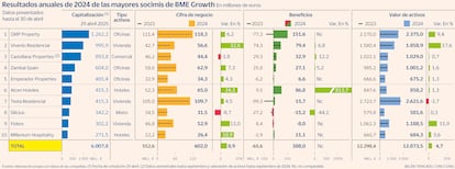 Socimis resultados anuales 2024 Gráfico