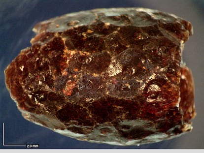 A real amber bead.