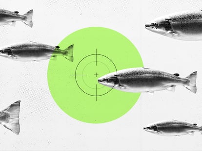 Por qué pedir algo más que salmón en la pescadería 