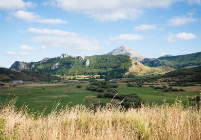 Puebla de Lillo se encuentra en los alrededores del puerto de San Isidro, paso de montaña que une las provincias de León y Asturias, y donde la temperatura media en verano no supera los 12,5 grados. Es un pueblo de origen medieval que forma parte del parque regional de Picos de Europa (en la imagen). Su torreón, actual Casa del Parque, ayuda a interpretar el paisaje y su relación con el hombre. Entre esta localidad y el puerto de las Señales, muy cerca del límite con el parque natural de Redes, se alza el Pinar de Lillo, uno de los escasísimos pinares autóctonos de la Península.