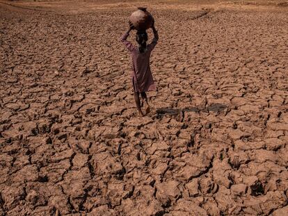 Campesina en tierra de sequía en Charam, Uttar Pradesh, India.