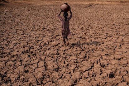 El agua se ha secado, queda solo la tierra agrietada. Los lugareños dicen que unas pocas generaciones atrás, cuando las lluvias que traía el monzón eran constantes, la ecología de la zona era muy distinta. Charam, Uttar Pradesh, India, junio de 2019.
