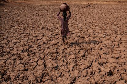 El agua se ha secado, queda solo la tierra agrietada. Los lugareños dicen que unas pocas generaciones atrás, cuando las lluvias que traía el monzón eran constantes, la ecología de la zona era muy distinta. Charam, Uttar Pradesh, India, junio de 2019.