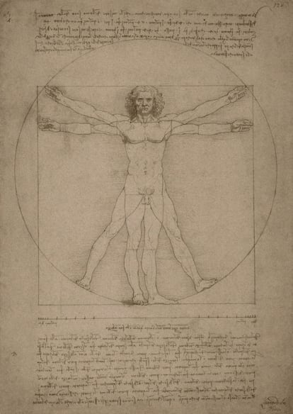 La exposición 'Leonardo da Vinci. Observa. Cuestiona. Experimenta', organizada por la Fundación La Caixa en colaboración con el Ayuntamiento de Badajoz, presenta al hombre del Renacimiento desde una perspectiva innovadora. La muestra se desarrolla en dos espacios, uno interior con un espectáculo audiovisual que conecta el pensamiento de Leonardo con nuestro día a día, y otro exterior con cuatro grandes maquetas que reproducen algunas de las ideas más modernas y premonitorias del artista. Se podrá ver del 14 de abril al 13 de mayo en la capital placense, donde ha recalado este miércoles.