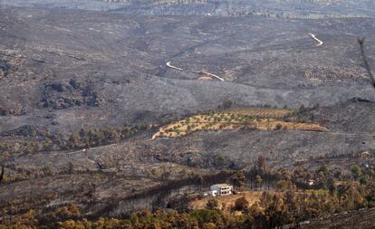 El incendio ha quemado 50.000 hectáreas, el contraste es desolador.