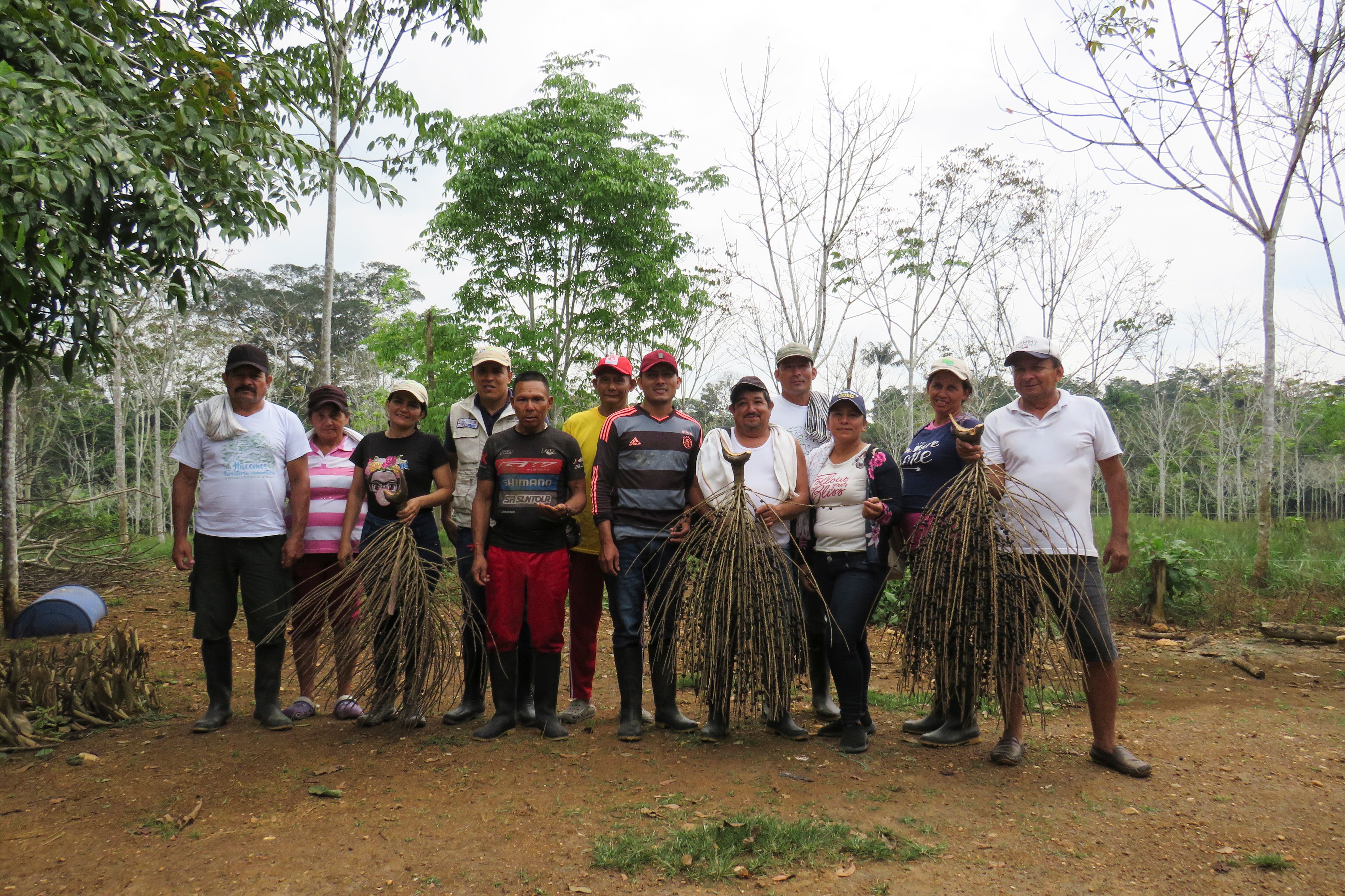 Coomagua: la cooperativa que está frenando la deforestación de las selvas del Guaviare a través de la forestería comunitaria