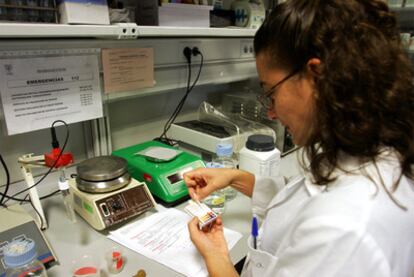 Una científica realiza ensayos en el Centro de Investigaciones Biológicas, del CSIC.
