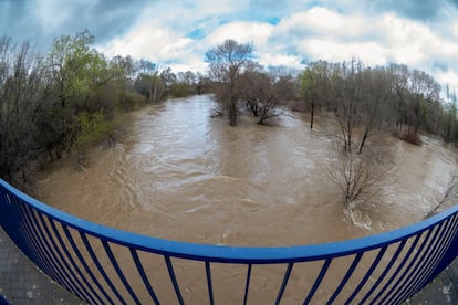 Vista del río Jarama bajo la A2 a la altura de la localidad de San Fernando de Henares, este viernes. 
