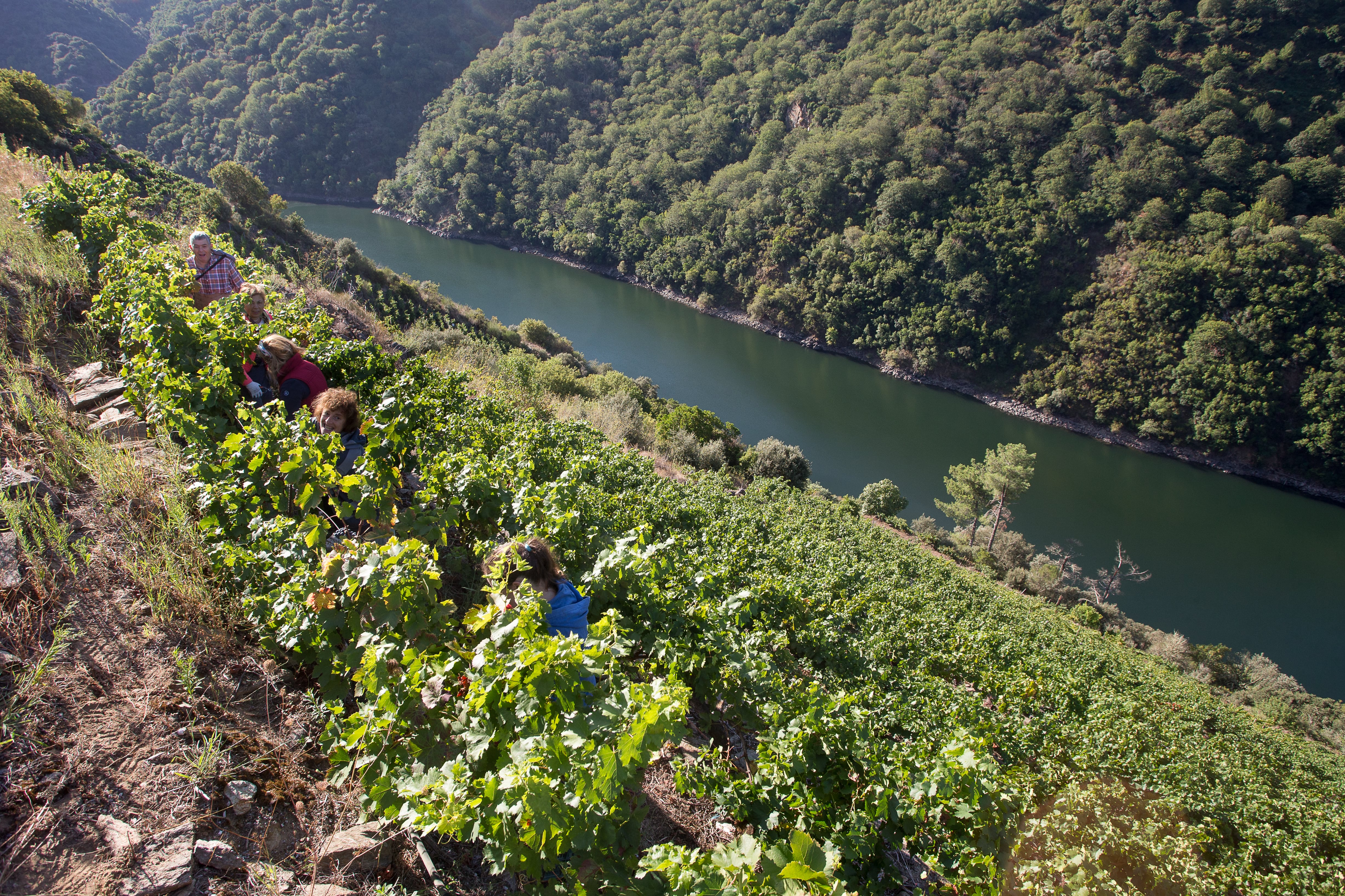 Ribeira Sacra, Albarracín, Timanfaya y otros 16 rincones fotogénicos de España que merecen una parada