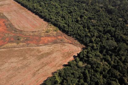 Una imagen aérea de la Amazonia, en el Estado brasileño de Mato Grosso, en julio de 2021.