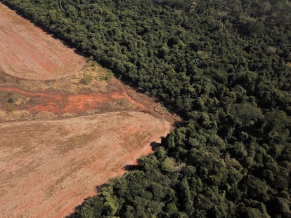 Una imagen aérea de la Amazonia, en el Estado brasileño de Mato Grosso, en julio de 2021.