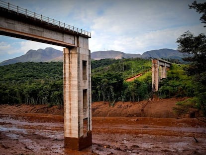 Vista del desastre causado por la rotura de una represa en Brumadinho (Brasil).  