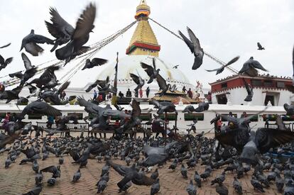 Una bandada de palomas vuelan en Boudhanath Stupa, a las afueras de Katmandú (Nepal).