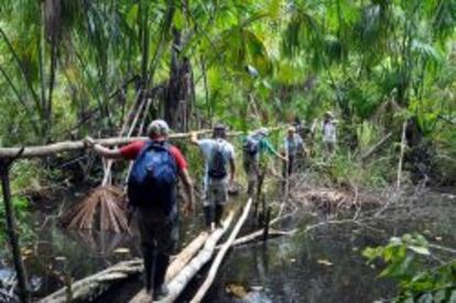 Turistas en la selva amaz&oacute;nica.