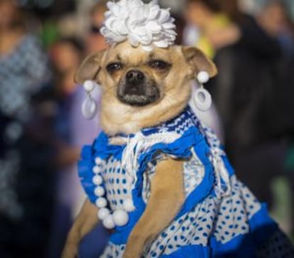 La Feria de Abril se celebra en el Fórum hasta el 4 de mayo.