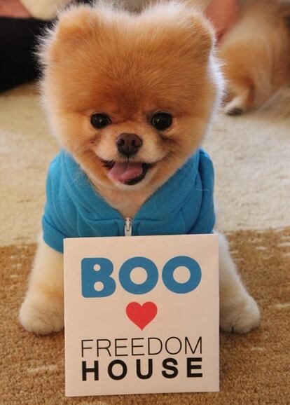 El Boo más solidario con un cartel de apoyo a la ONG Freedom house.