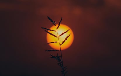 Sol en el solsticio de junio
