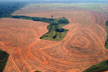 Fotografa area, realizada en septiembre de 2004, de bosques roturados en Novo Progreso, Para (Brasil), para plantar soja.