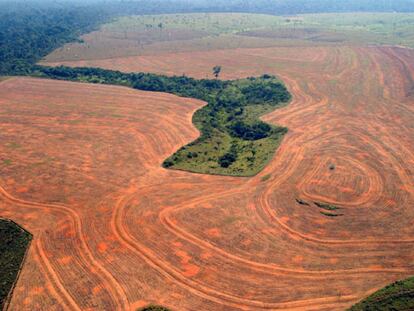 Fotografía aérea, realizada en septiembre de 2004, de bosques roturados en Novo Progreso, Para (Brasil), para plantar soja.