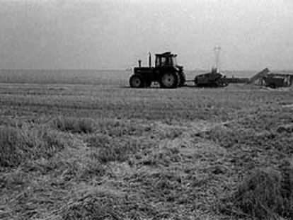 Un tractor arrastra otro tipo de maquinaria en un campo de cereales.
/ RAÚL CANCIO