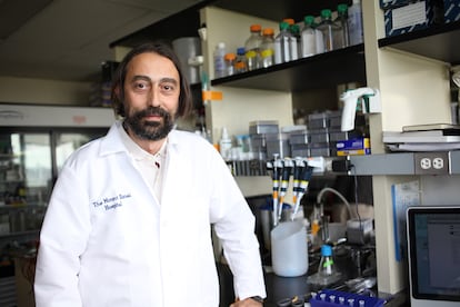 Adolfo García Sastre, virólogo experto en patógenos emergentes del Hospital Monte Sinaí de Nueva York