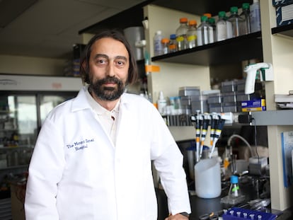 Adolfo García Sastre, virólogo experto en patógenos emergentes del Hospital Monte Sinaí de Nueva York