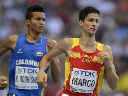 Luis Alberto Marco, durante las semifinales de los 800 metros 