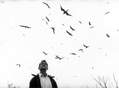 El señor de los pájaros, Nayarit, México (1985).