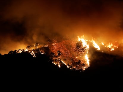 Un incendio desatado el miércoles en un denso bosque de castaños en Pujerra, en la Sierra Bermeja (Málaga), ha obligado a desalojar el casco urbano de la localidad de Benahavís. En la imagen, el fuego, visto desde ese municipio en la madrugada de este jueves.