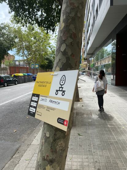 Tratamiento de plátanos con el insecticida Decis Protech en la calle Viladomat de Barcelona.