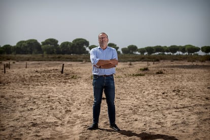 Juan Pedro Castellano, director del parque nacional de Doñana.