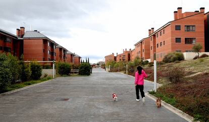 Laura Hernández, vecina de Majadahonda (Madrid) y beneficiada con uno de los pisos afectados por la nulidad, pasea a sus dos perros.