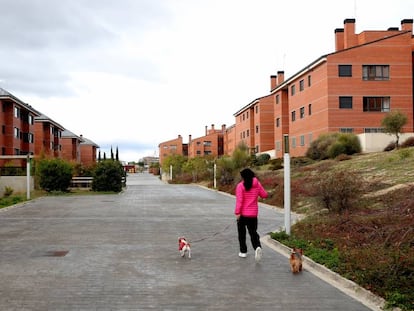 Laura Hernández, vecina de Majadahonda (Madrid) y beneficiada con uno de los pisos afectados por la nulidad, pasea a sus dos perros.