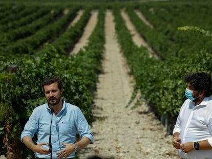 Pablo Casado, este lunes, durante una visita a unas bodegas de Jumilla (Murcia), junto al presidente autonómico, Fernando López Miras.