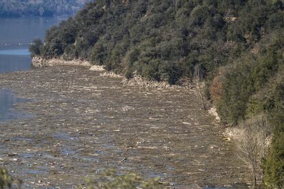 Según la Generalitat, solo en la zona de la presa del pantano se acumulan hasta 60 hectáreas de troncos y restos vegetales.