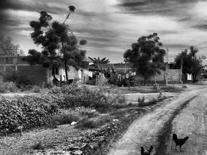 Los olvidados de la sierra de Sinaloa