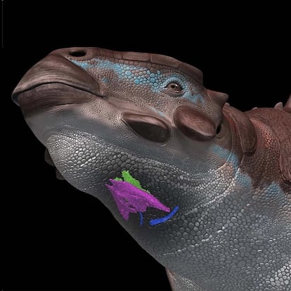Dinosaurios