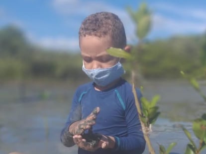 Menino planta árvore no projeto Bosques da Memória, em homenagem a vítimas de coronavírus.