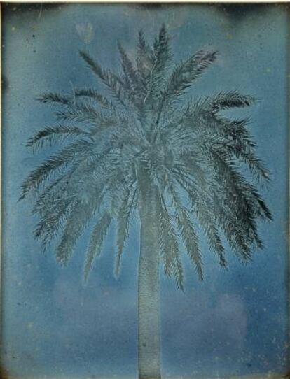 Palmera cerca de la Iglesia de Santo Theodore, Atenas, 1842