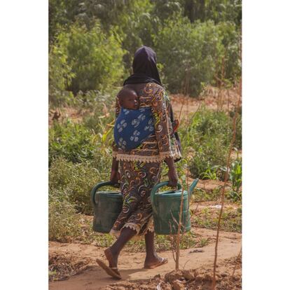 Las mujeres se dedican al campo sin olvidar sus labores de madre. Con los hijos a la espalda desarrollan su trabajo teniendo que sobrellevar uno de los climas más calurosos de la Tierra, con temperaturas medianas de 35 grados de medias y que pueden alcanzar hasta 45 grados entre los meses de marzo y mayo, justo antes de las lluvias. Níger es el país con la tasa de fecundación más alta del mundo, con una media de 7,6 hijos por mujer. En la imagen, una mujer carga dos regaderas en Goudel-Gorou, Niamey.