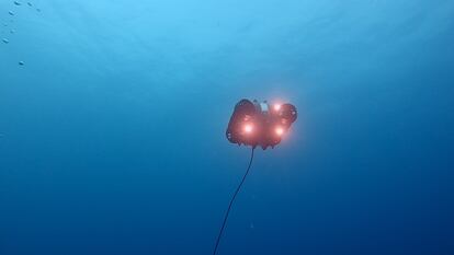 The remotely operated underwater vehicle which was given the nickname ‘Baxter’ by the crew.